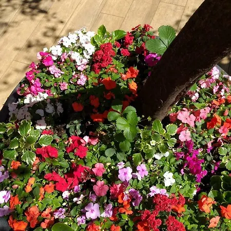 Guest house Casa In Monti