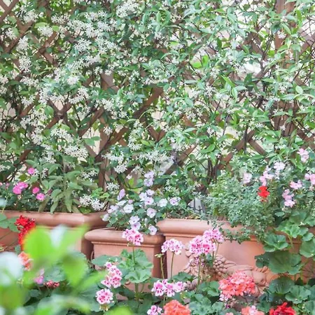 Guest house Casa In Monti