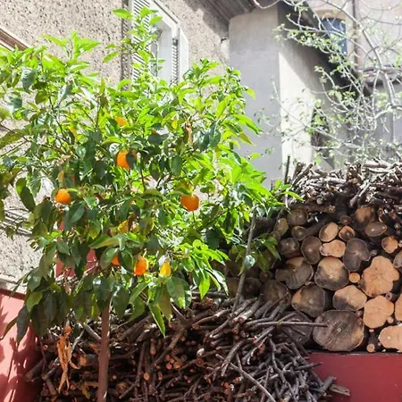 Pensionat Casa In Monti