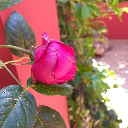 Casa In Monti Guest house *