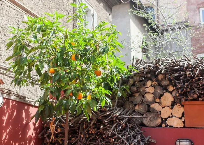 Affittacamere Casa In Monti