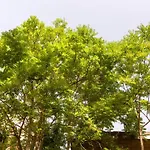 Casa In Monti